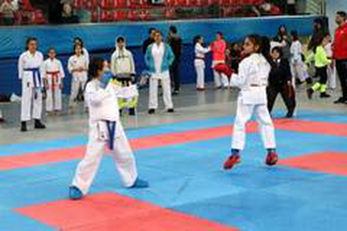 Okullar arası Karate İl Birinciliği müsabakaları tamamlandı