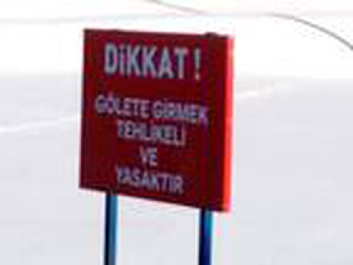 Sakarya\'da 1200 rakımlı yayladaki gölet dondu