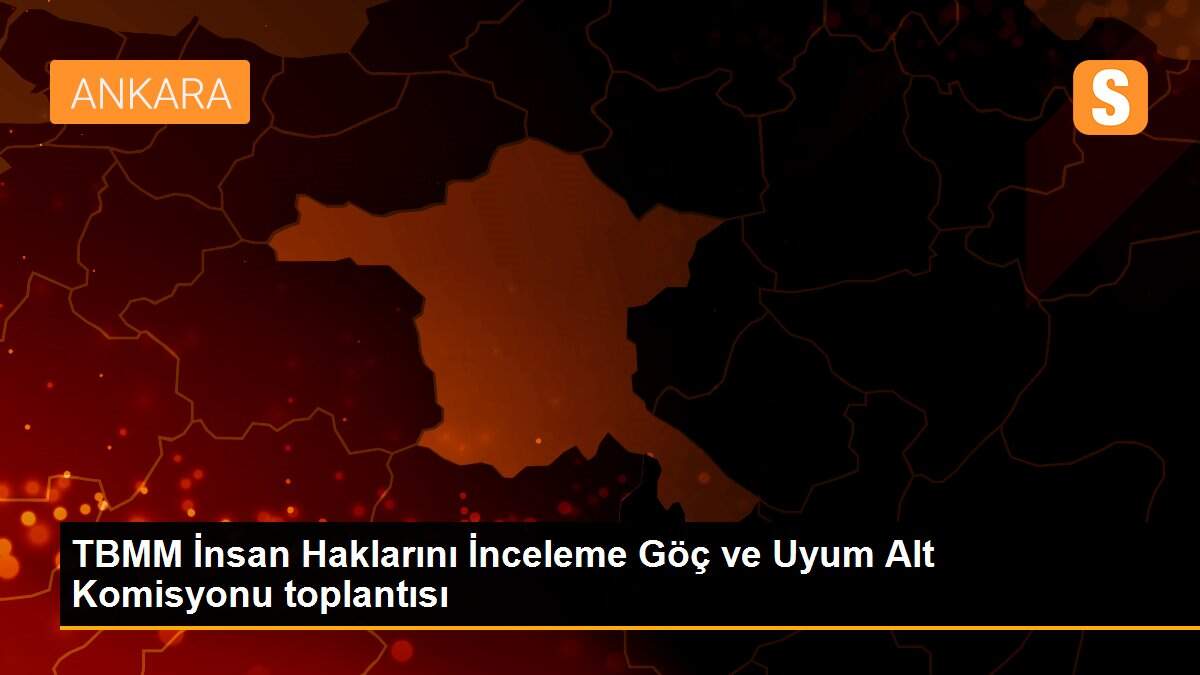 TBMM İnsan Haklarını İnceleme Göç ve Uyum Alt Komisyonu toplantısı