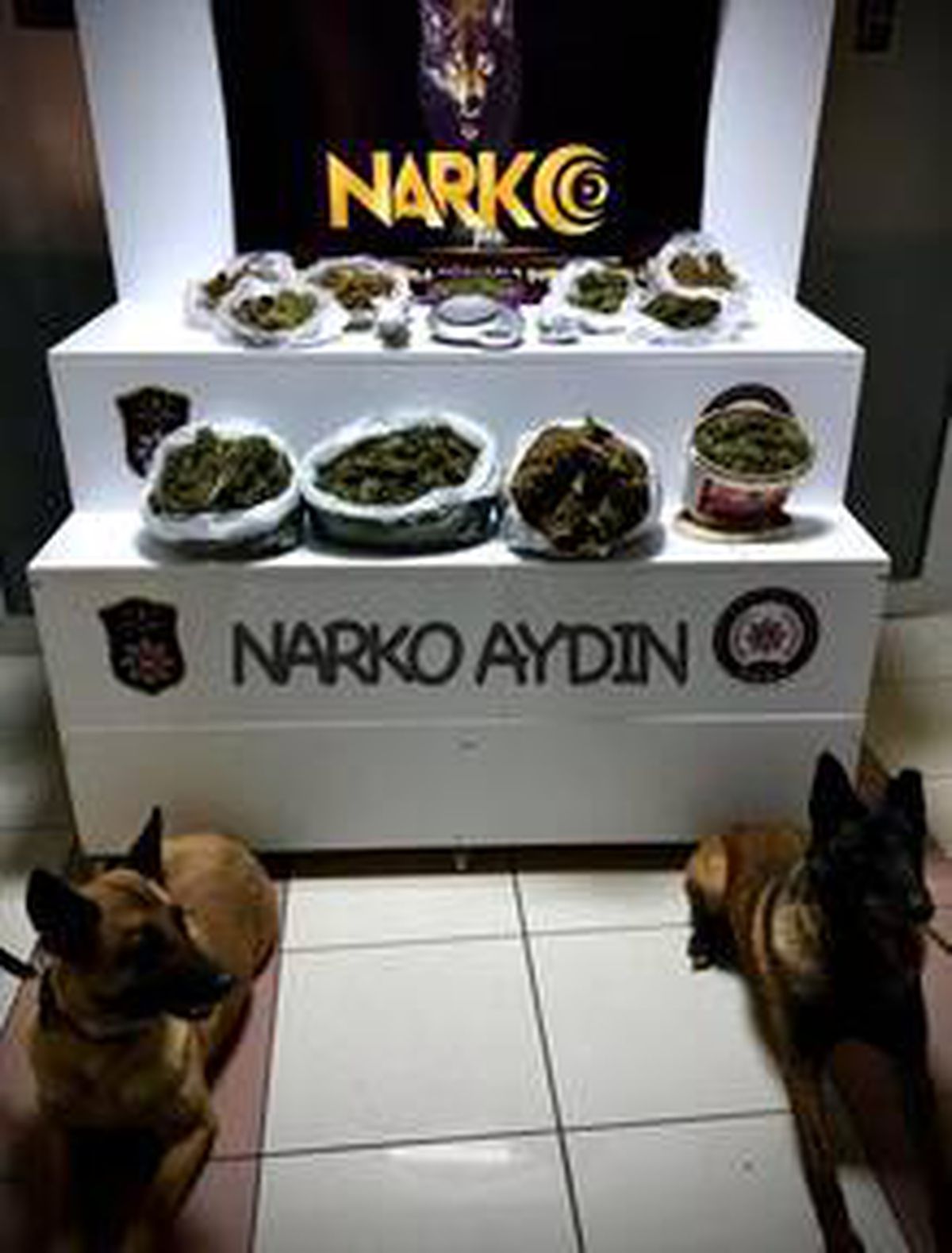 Aydın\'da drone destekli uyuşturucu operasyonu