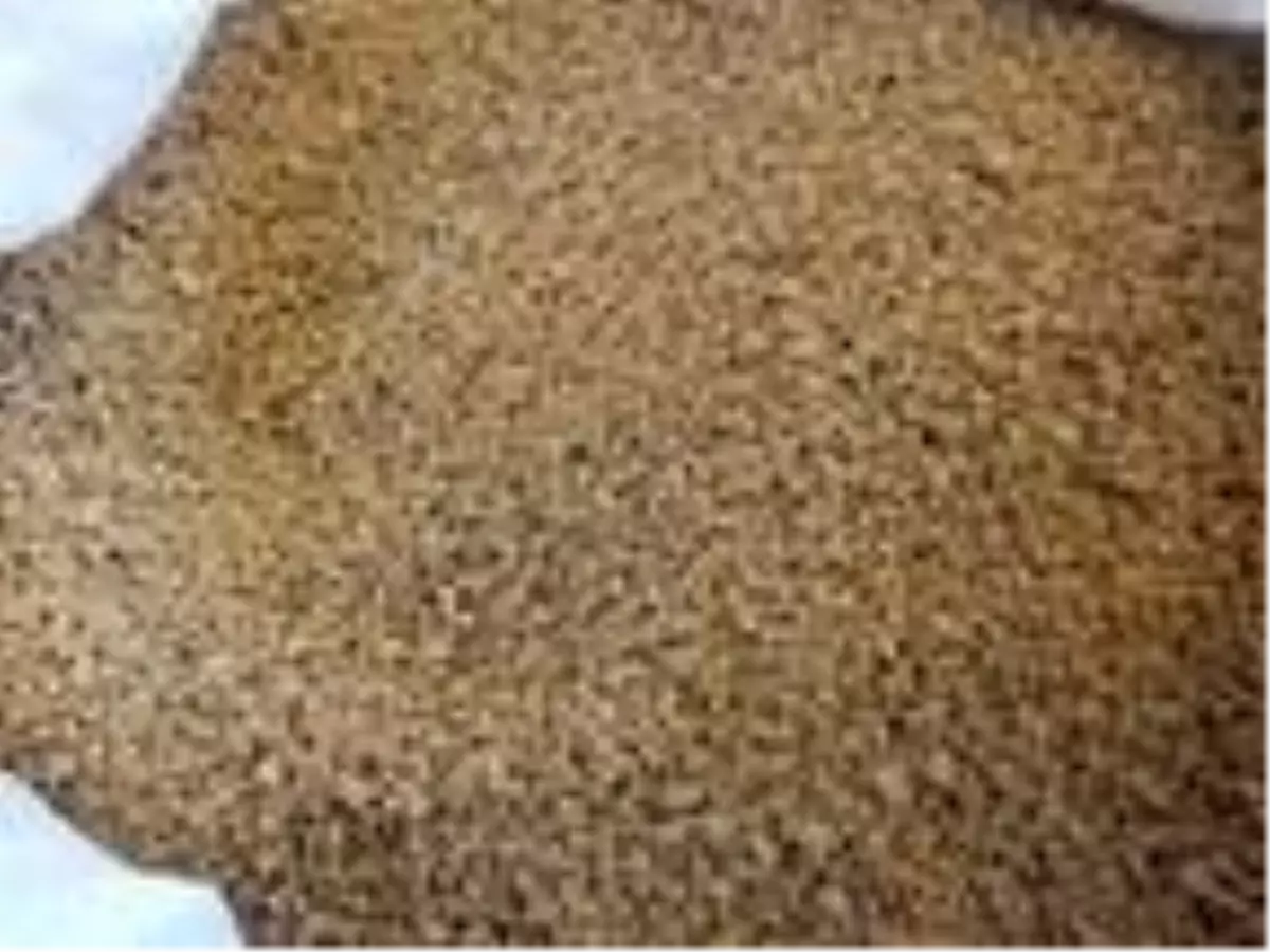 Çevreci yakıt zeytin çekirdeklerine, Yunanistan\'dan sonra Almanya da talip