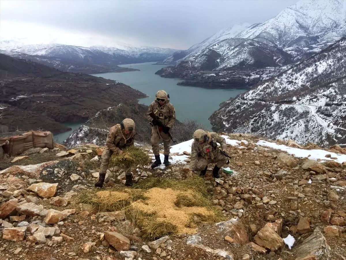 Jandarma Elazığ\'da yaban hayvanları için doğaya yem bıraktı