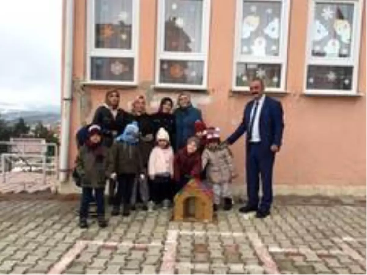 Sorgun\'lu minik öğrenciler sokak hayvanlarına yuva yaptılar