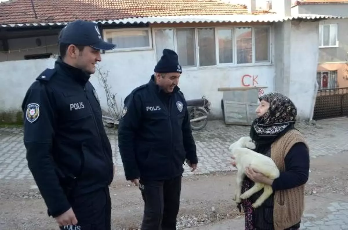 Polis, olay yeri incelemede kullanılan eldivenle kuzuya süt içirdi