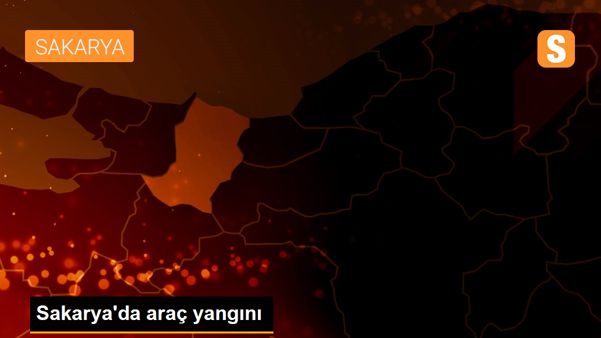 Sakarya\'da araç yangını