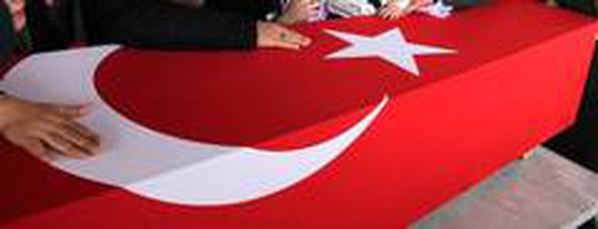 Şehit ateşi Bitlis\'e düştü