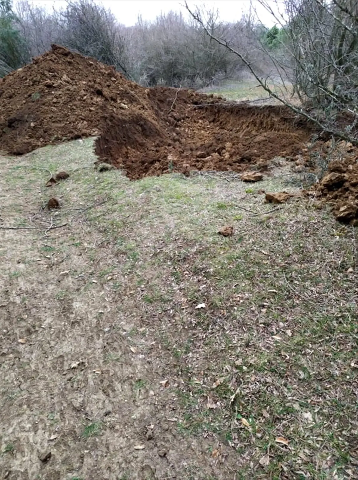 Tekirdağ\'da ormanlık alanda yapılan kazıda kemik parçaları bulundu