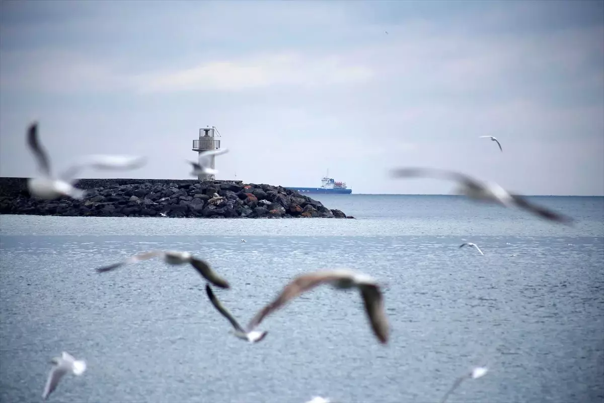 Marmara Denizi\'nde lodos etkisini sürdürüyor