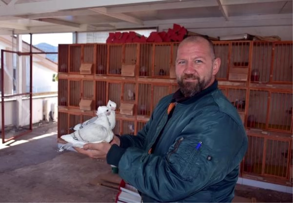 Marmarisli turizmcinin güvercin aşkı sınırları aştı