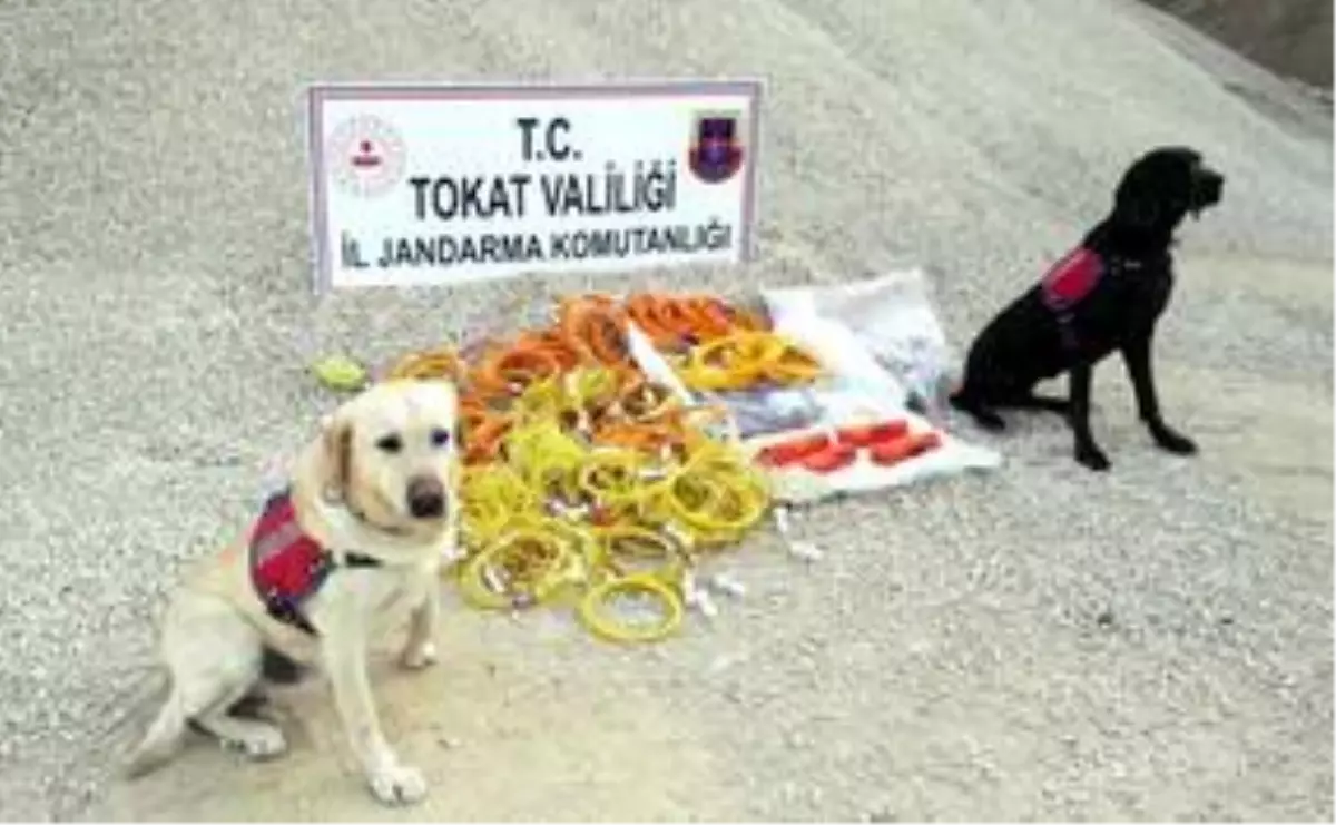 Tokat\'ta patlayıcı madde ele geçirildi