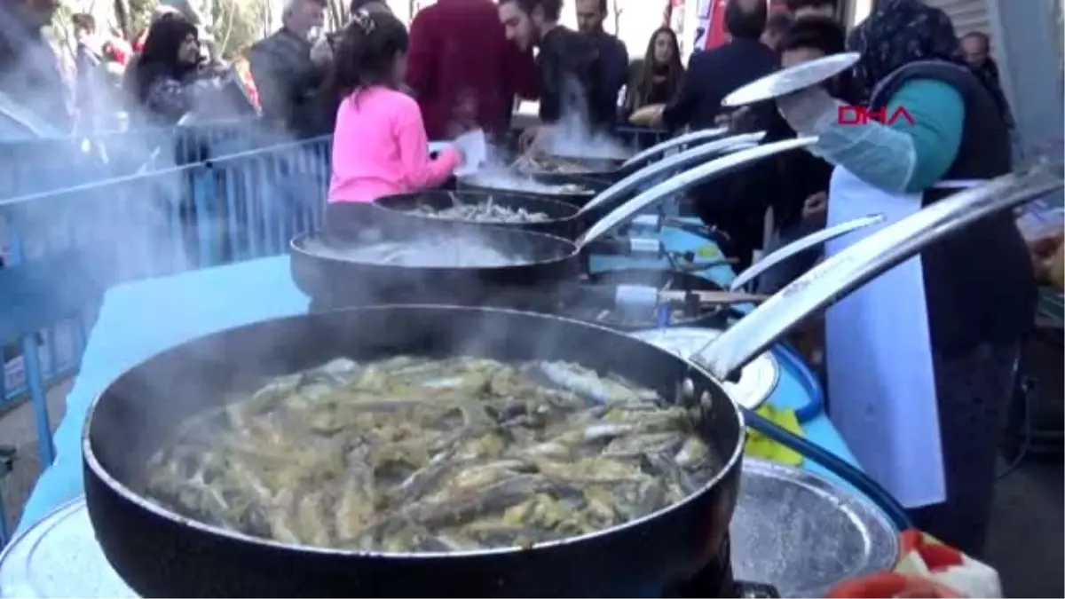 Bursa\'da hamsi festivali yoğunluğu