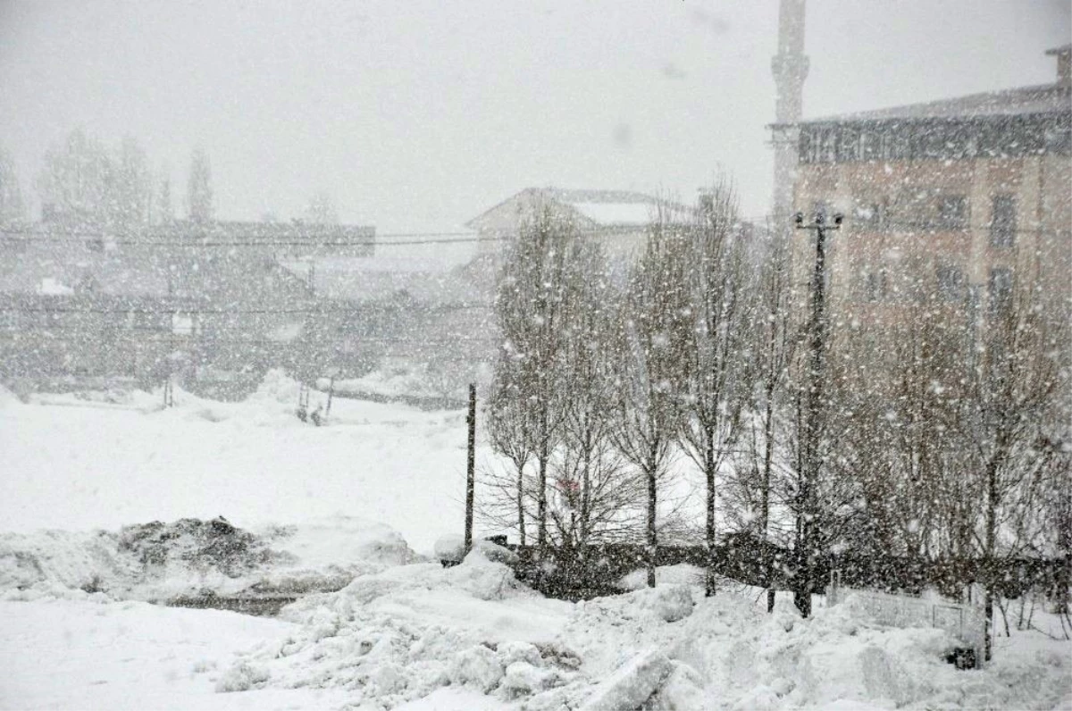 Yüksekova\'da yoğun kar yağışı