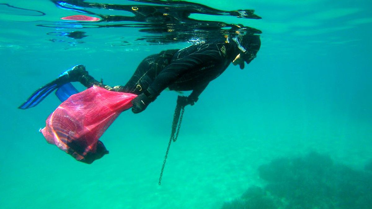 BIOR öncesi deniz dibi temizliği yapıldı