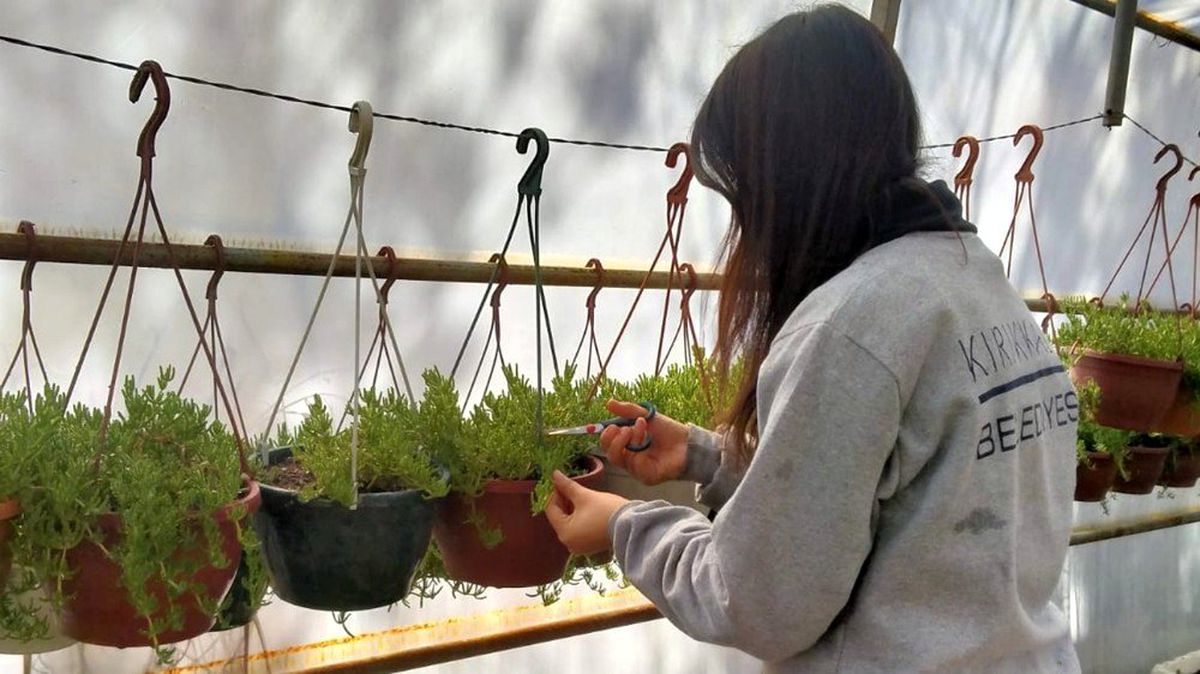 Kırıkkale\'de park ve yeşil alanlarda yaz bakımı