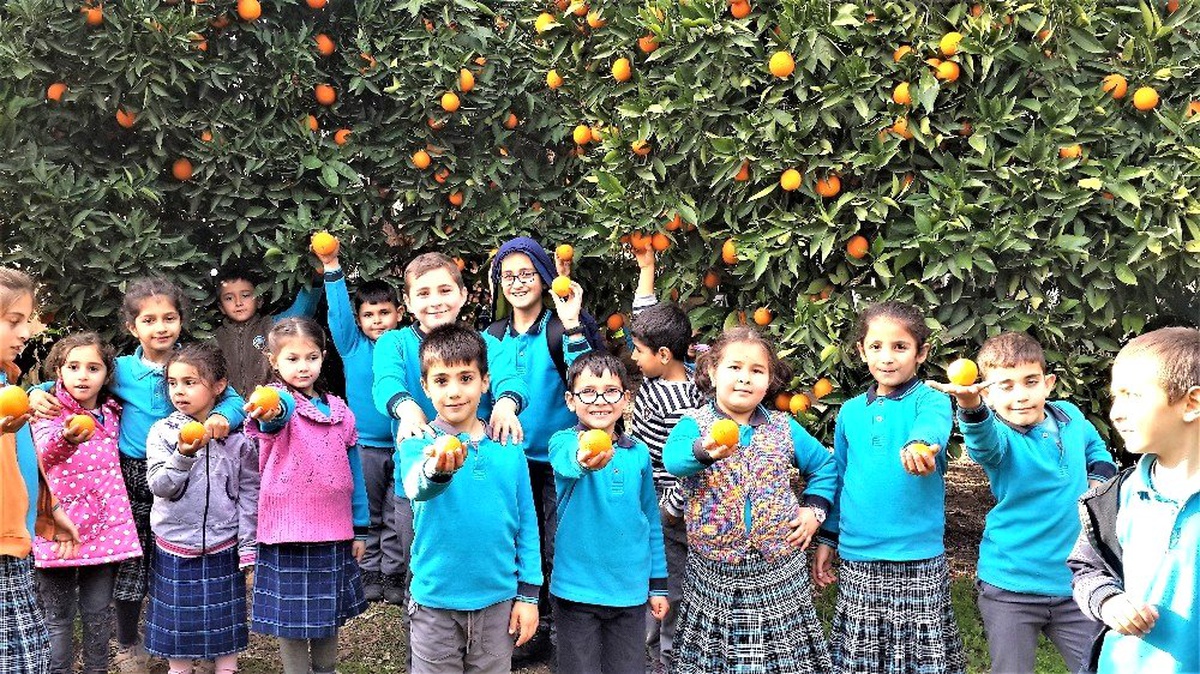 Portakalla kurulan kardeşlik köprüsü Şırnak\'a ulaştı