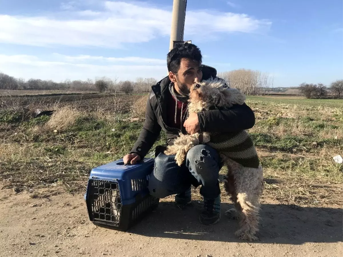 Sınırı geçerken 6 yıldır baktığı kedisi ve köpeğinden vazgeçti