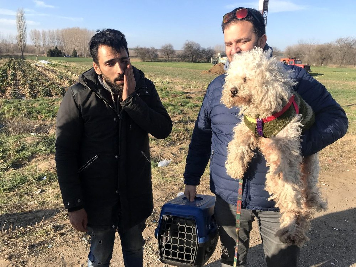 Sınırı geçerken 6 yıldır baktığı kedisi ve köpeğinden vazgeçti