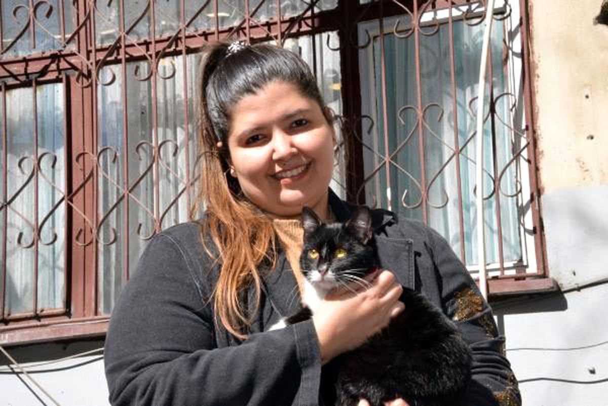 Bacağı parçalanan sokak kedisine iç mimar sahip çıktı
