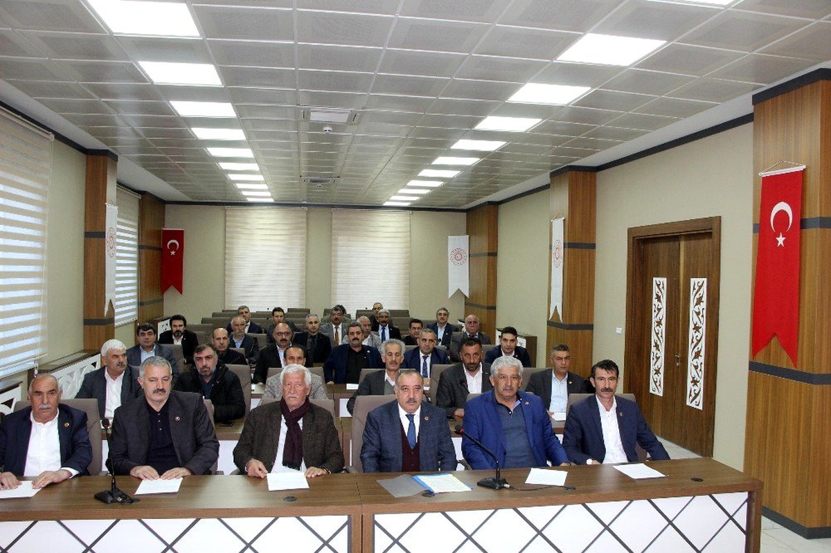 Bingöl İl Genel Meclisi\'nden Bahar Kalkanı Harekatı\'na destek