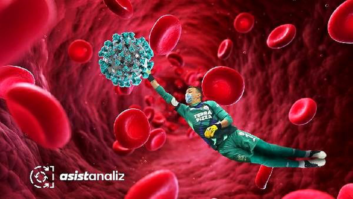 Koronavirüse çare Muslera !..