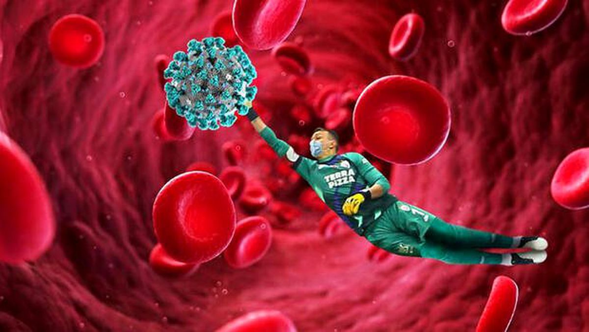 Koronavirüse çare Muslera!