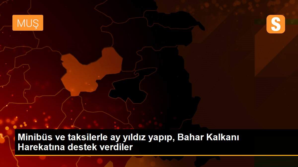 Minibüs ve taksilerle ay yıldız yapıp, Bahar Kalkanı Harekatına destek verdiler