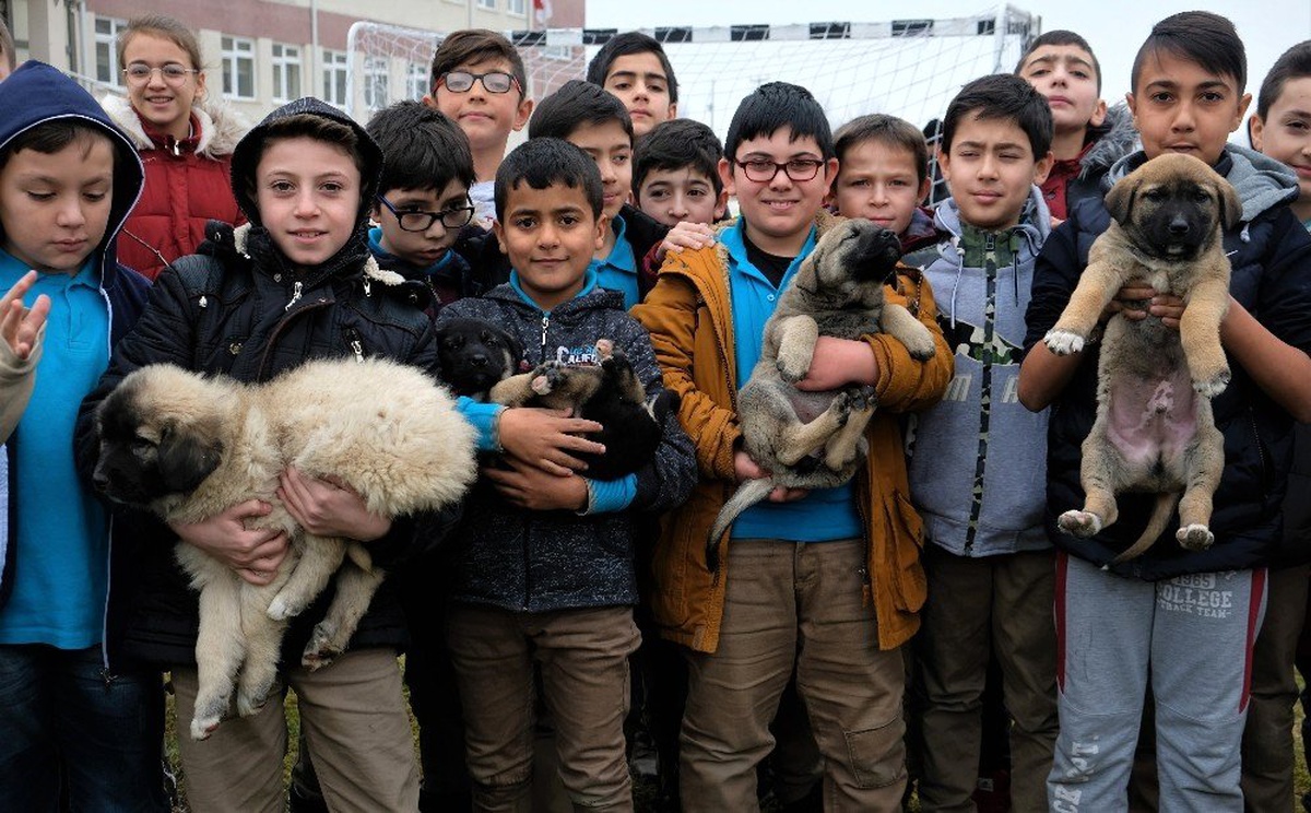 Minik öğrencilerin sahiplendikleri köpeklere kavuşma anı yürekleri ısıttı