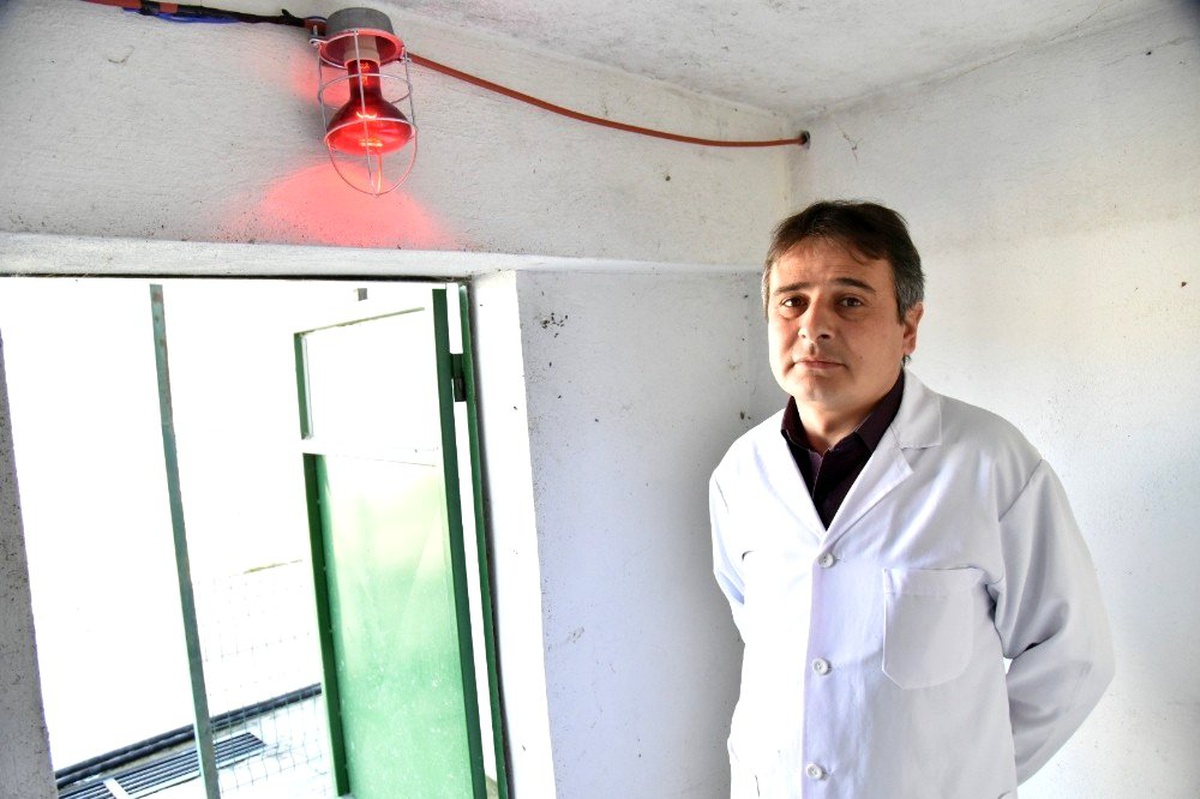 Sokak hayvanları üşümesin diye barınakların içine ısıtıcılar konuldu