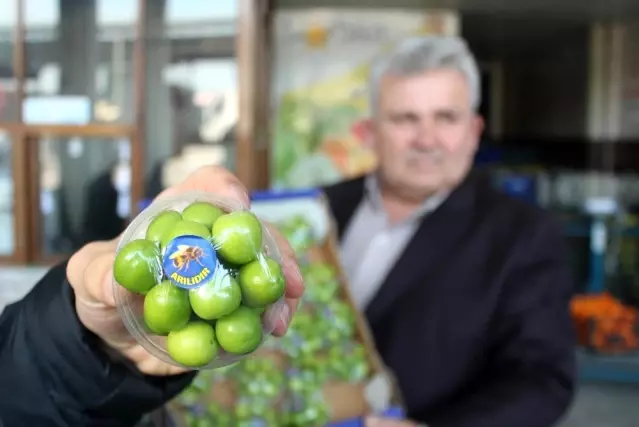 Turfanda Erik Cep Yakiyor Son Dakika