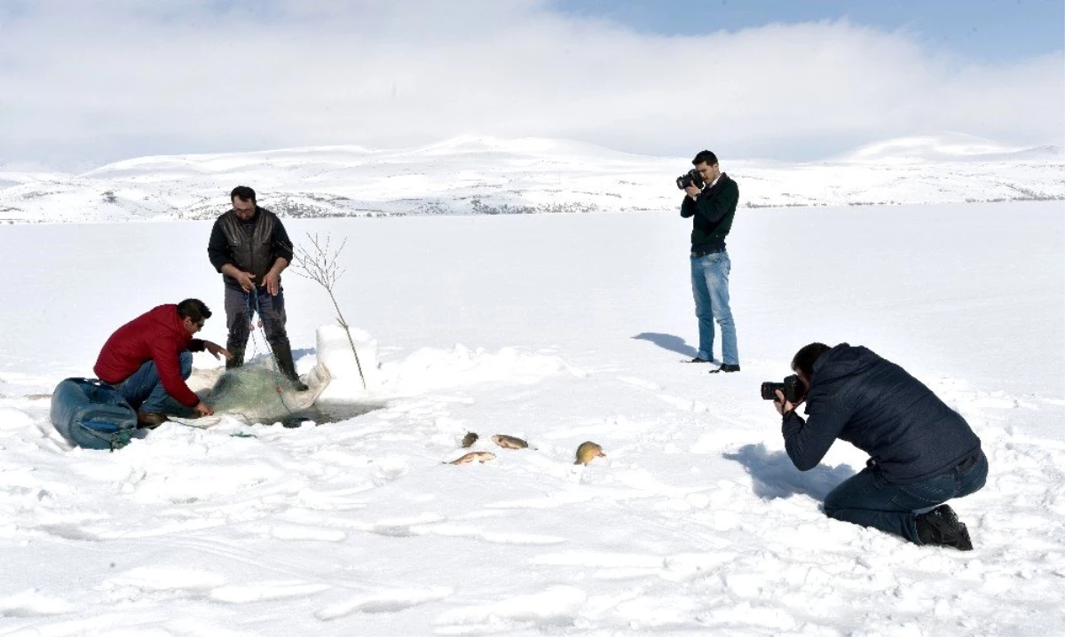 Eskimo usulü balık avına fotoğrafçı ilgisi