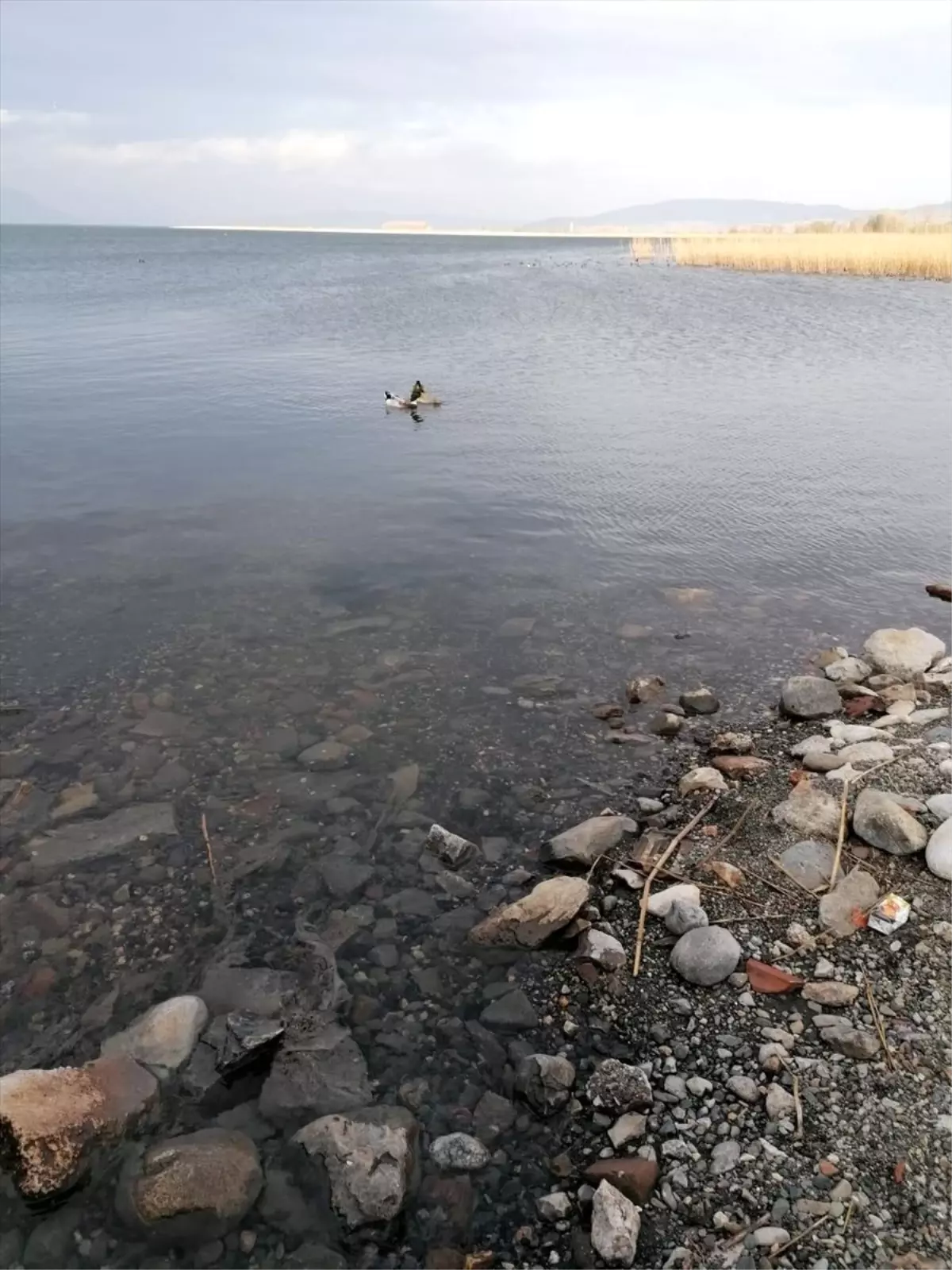 İznik Gölü\'nde arızadan kaynaklanan kirlilik sorunu giderildi