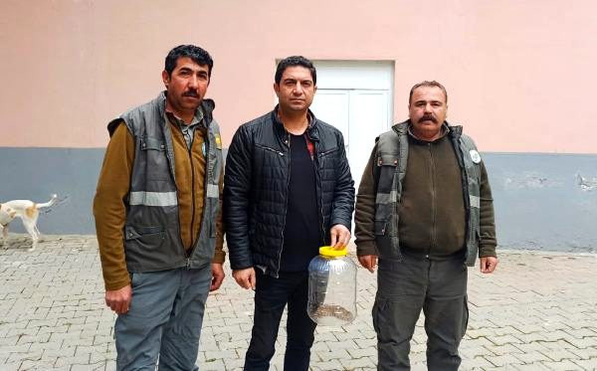 Saman balyaları arasından \'koca engerek\' çıktı