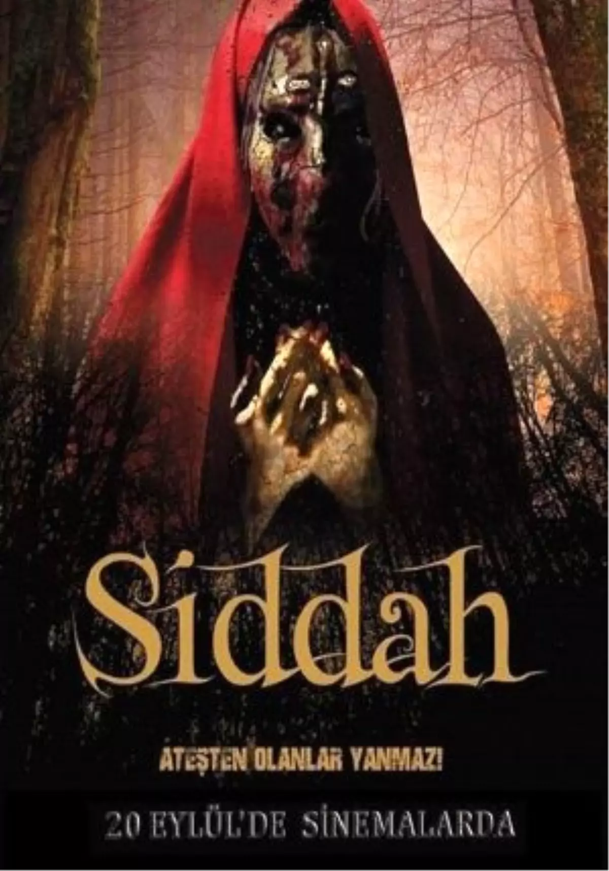 Siddah Filmi