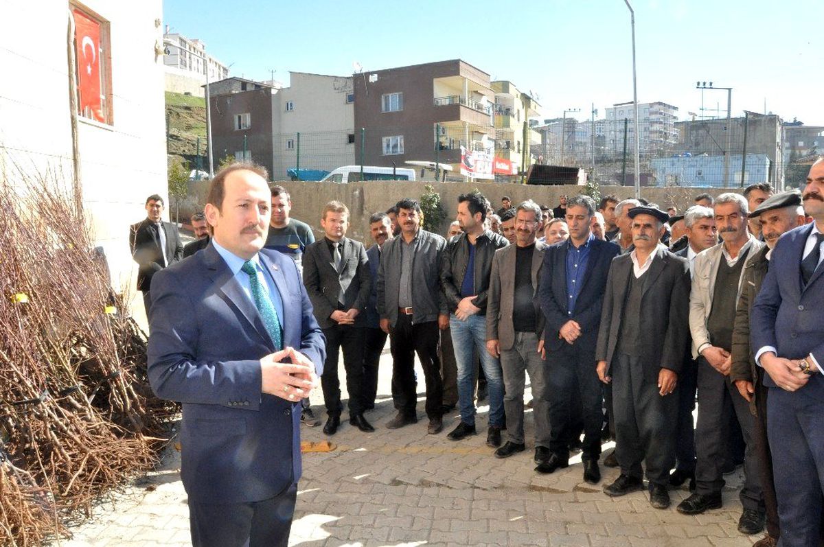 Şırnak\'ta çiftçilere 27 bin 700 adet meyve fidanı fidan dağıtıldı