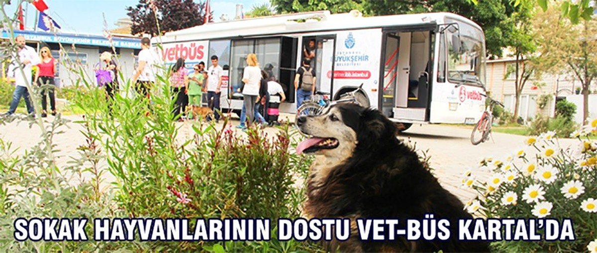 Sokak hayvanlarının dostu VET-BÜS Kartal\'da