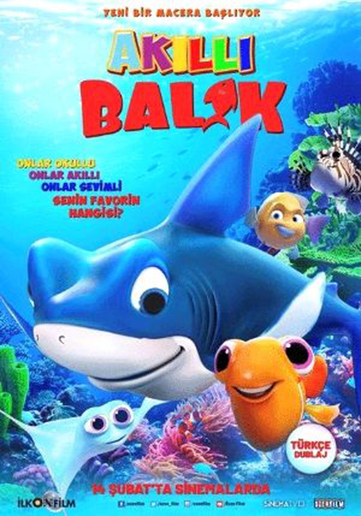 Akıllı Balık Filmi