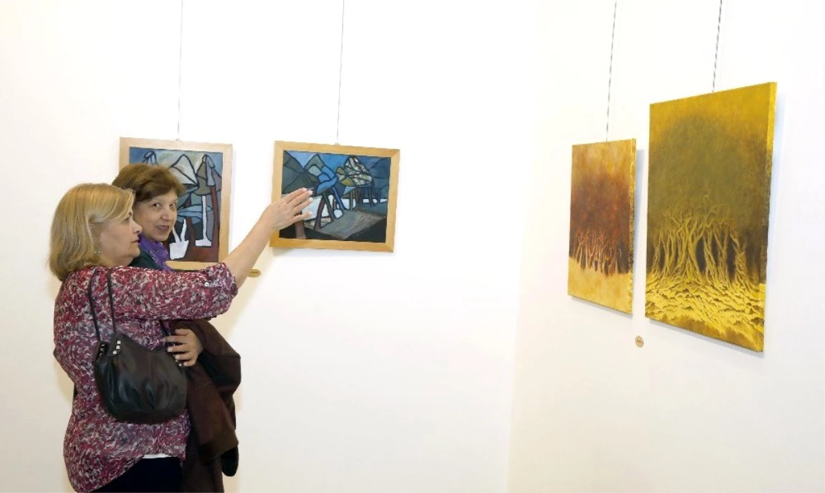 Ankaralı kadın ressamların 50. yıl sergisi ÇSM\'de