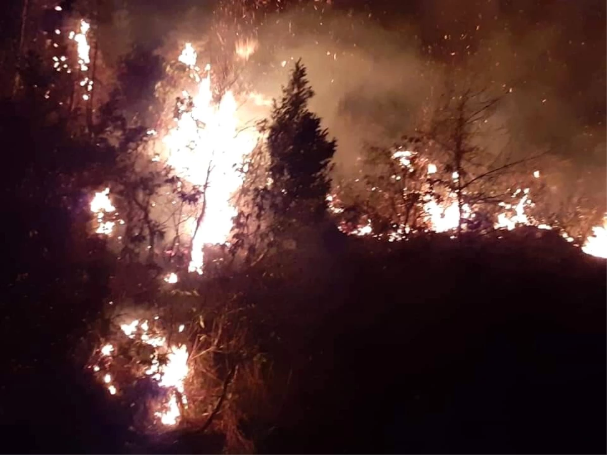Arhavi\'deki orman yangını kontrol altına alındı