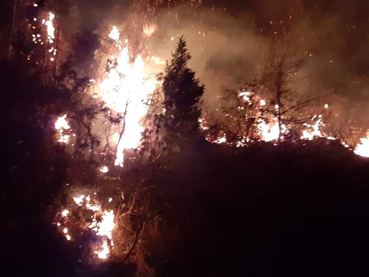 Artvin\'de orman yangını