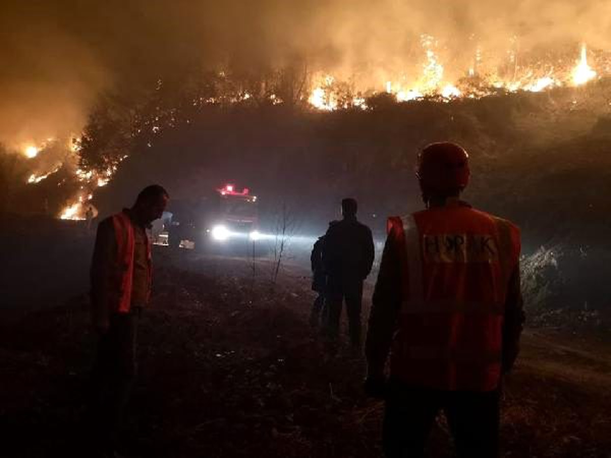 Artvin\'de orman yangınında 10 dönüm alan zarar gördü