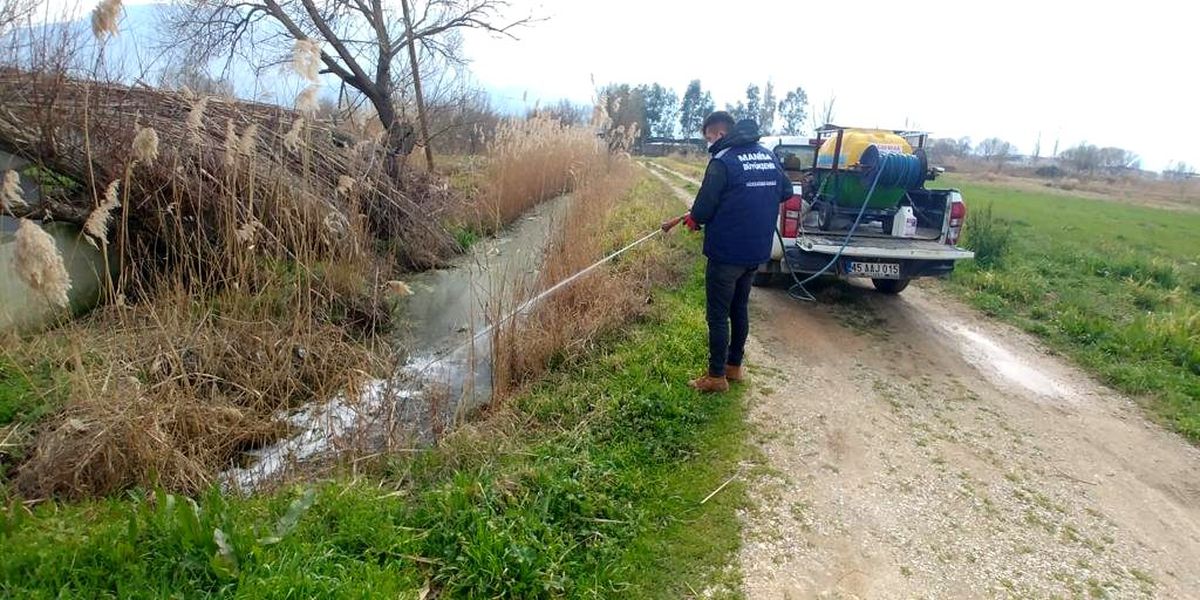 Bahar geldi, haşere ile mücadele başladı