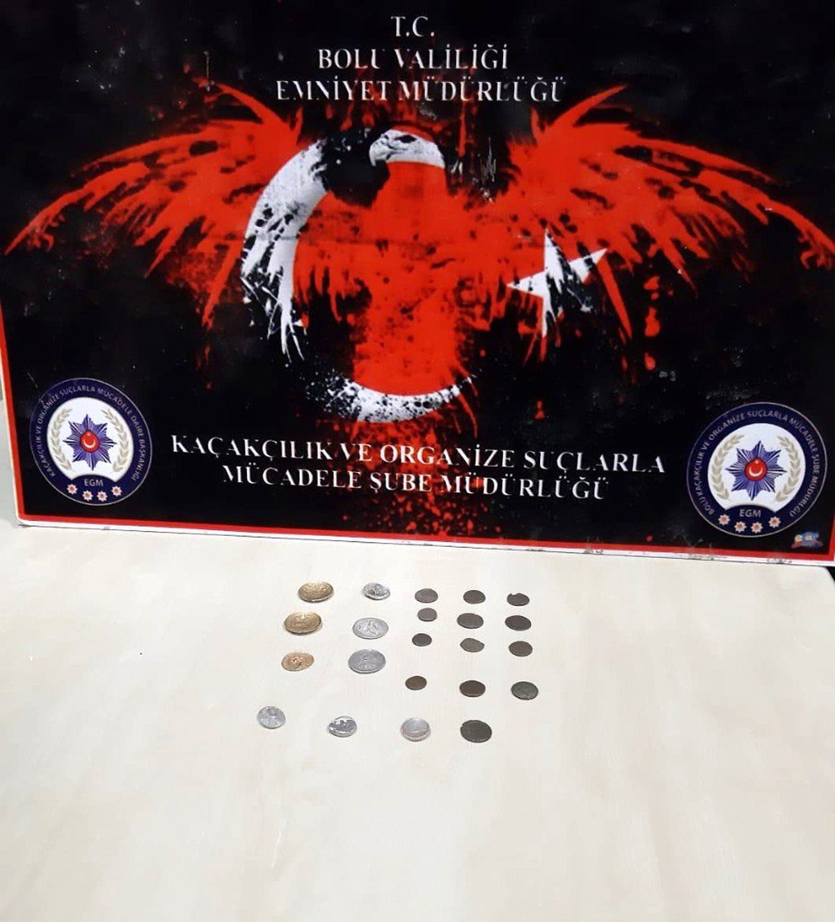 Bolu\'da 22 tarihi sikke ile yakalanan şahıs gözaltına alındı