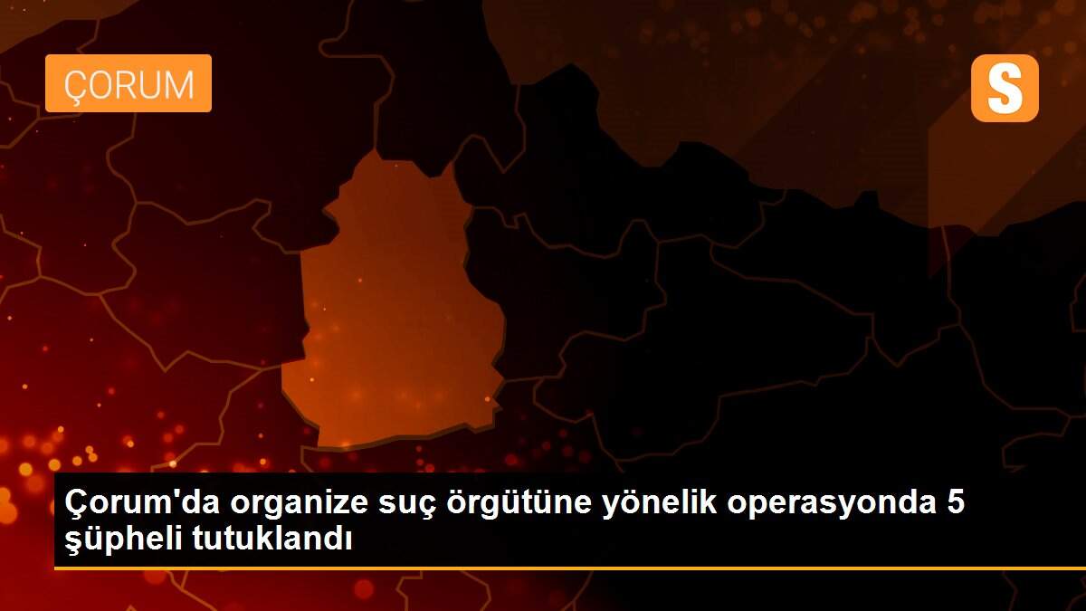 Çorum\'da organize suç örgütüne yönelik operasyonda 5 şüpheli tutuklandı