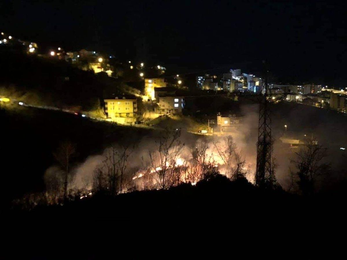 Giresun\'da ormanlık alanda yangın