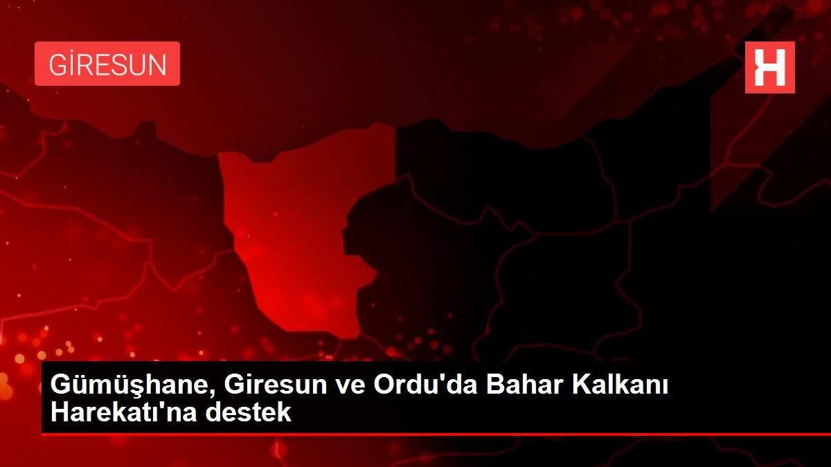 Gümüşhane, Giresun ve Ordu'da Bahar Kalkanı Harekatı'na destek