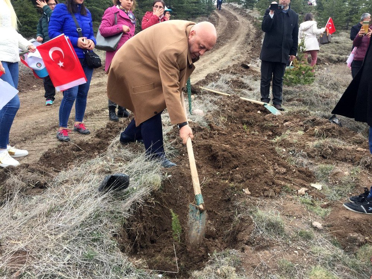 HAK-İŞ İdlib şehitleri anısına yüzlerce fidanı toprakla buluşturdu