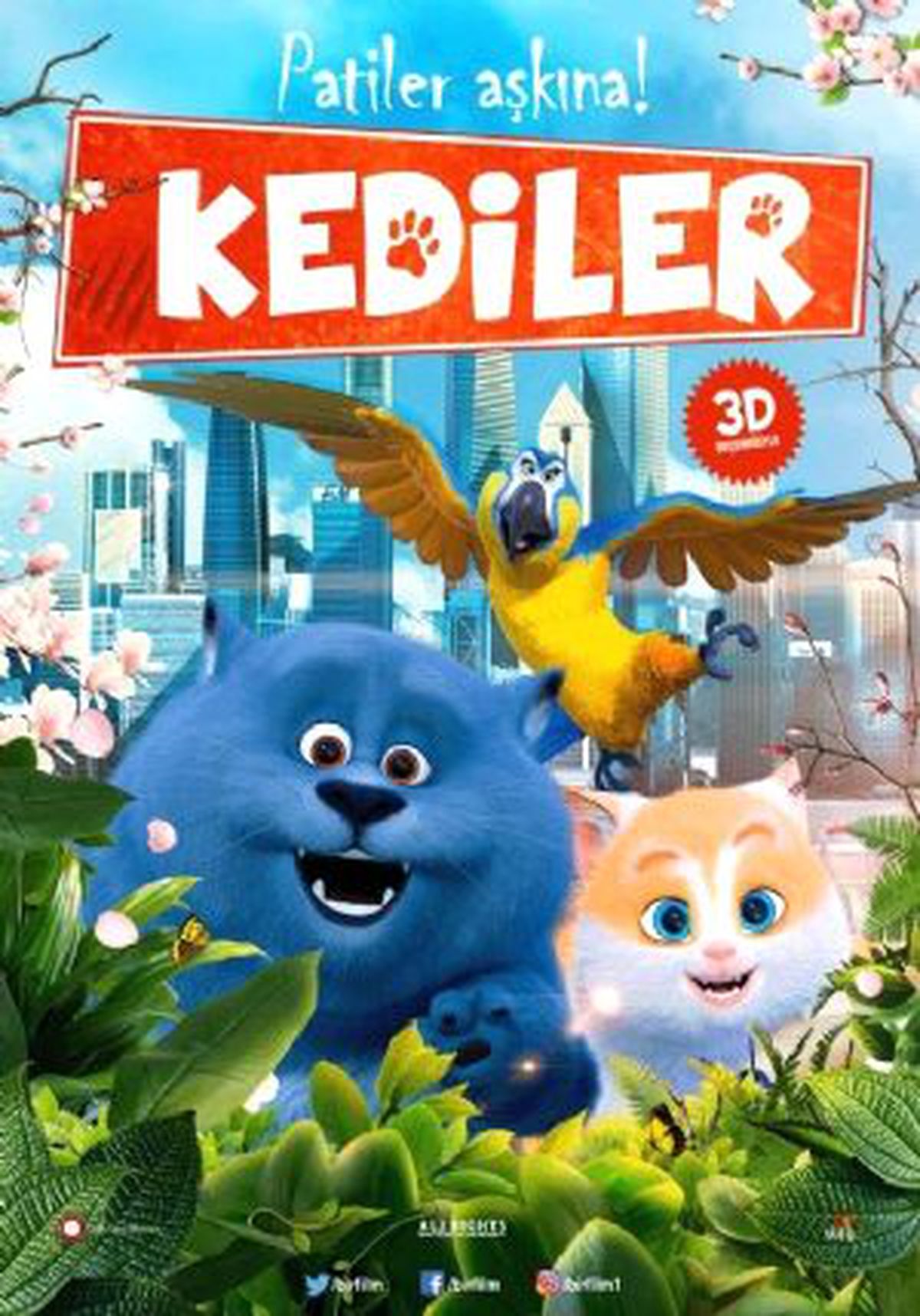 Kediler Filmi