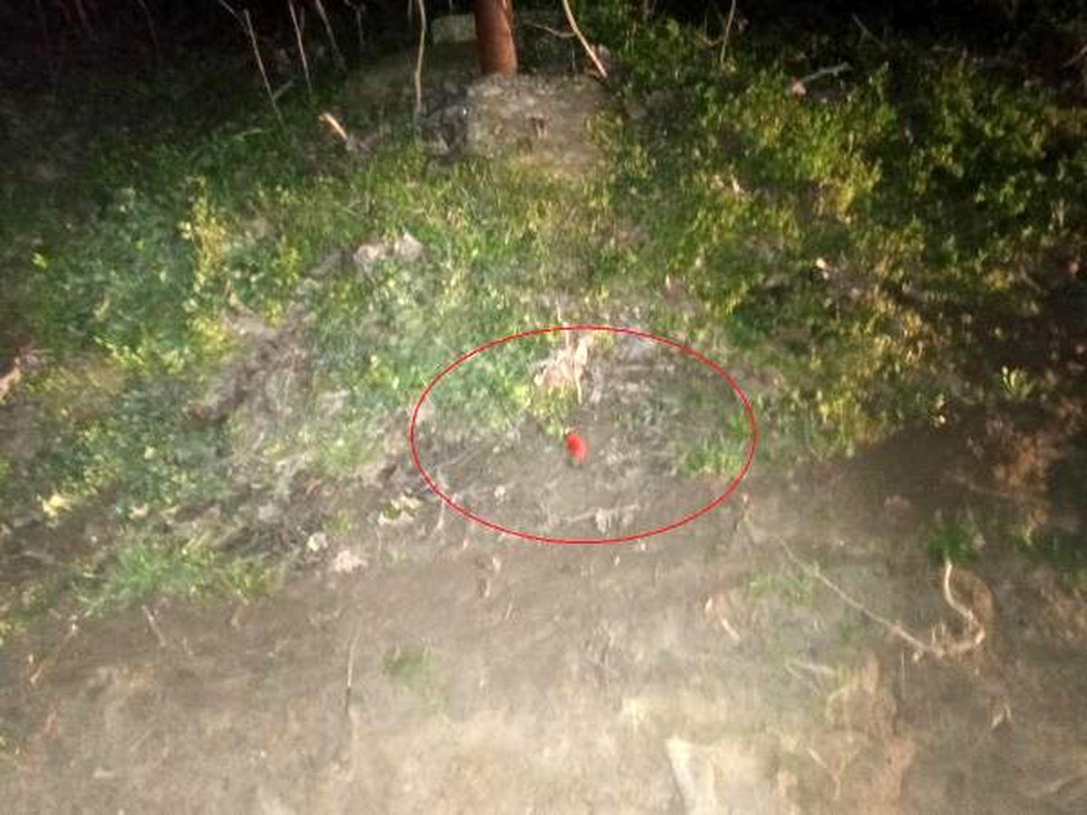Komşusu kadını, ormana götürüp pompalı tüfekle vurdu