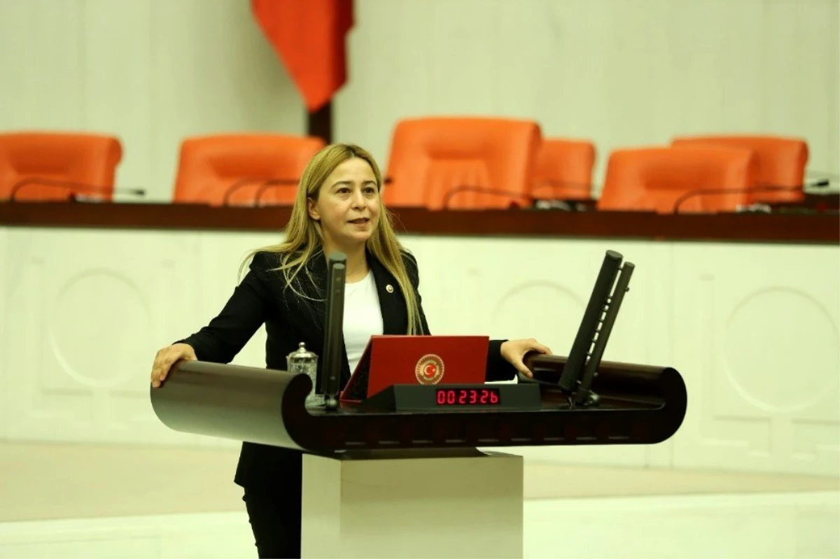 MHP\'li Esin Kara: "Sözleşmeli Devlet Tiyatroları personeli kadroya alınmalı"