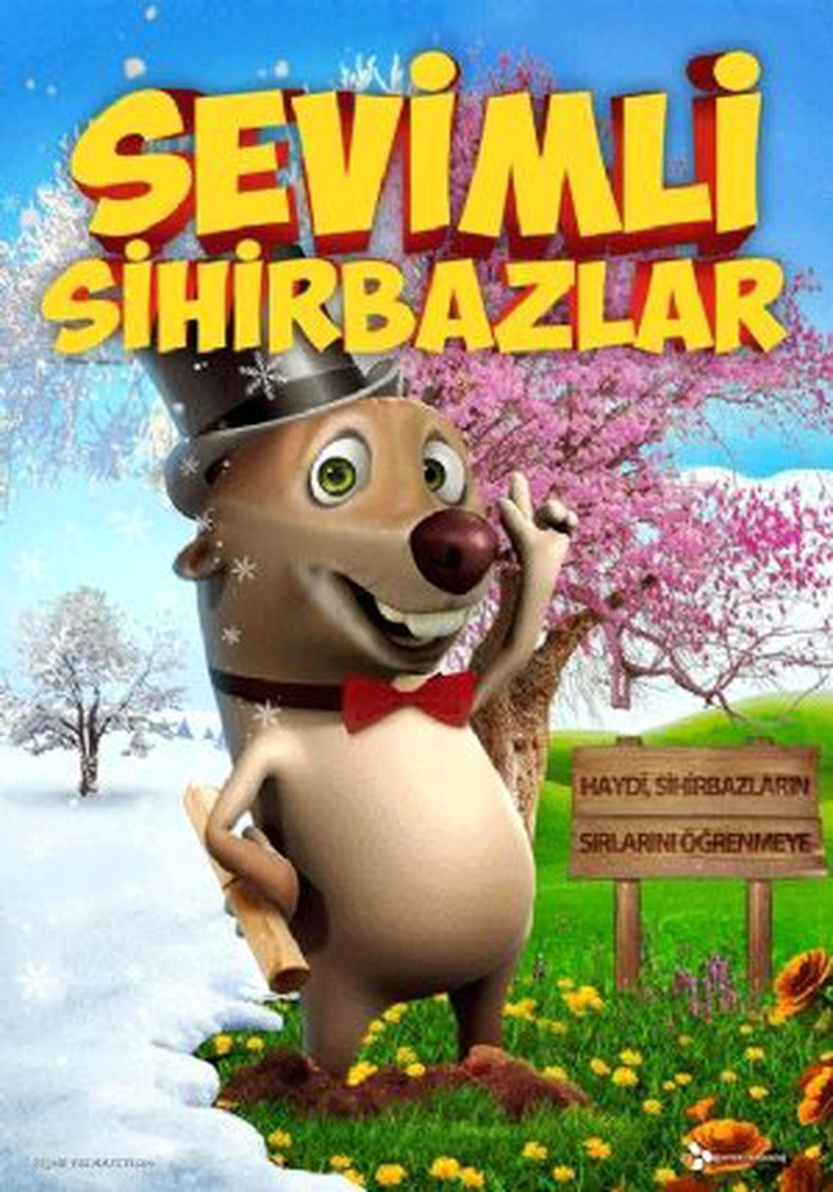 Sevimli Sihirbazlar Filmi